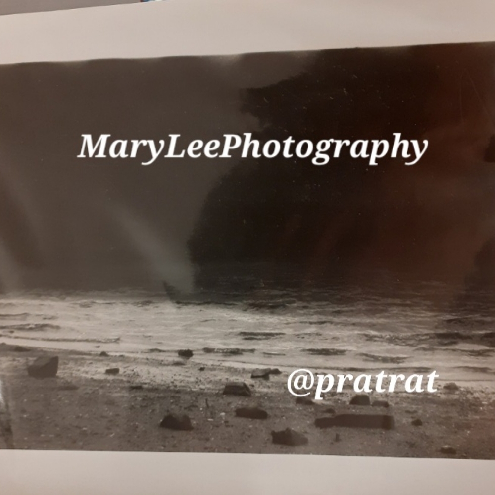 📷11×14 Digital Prints